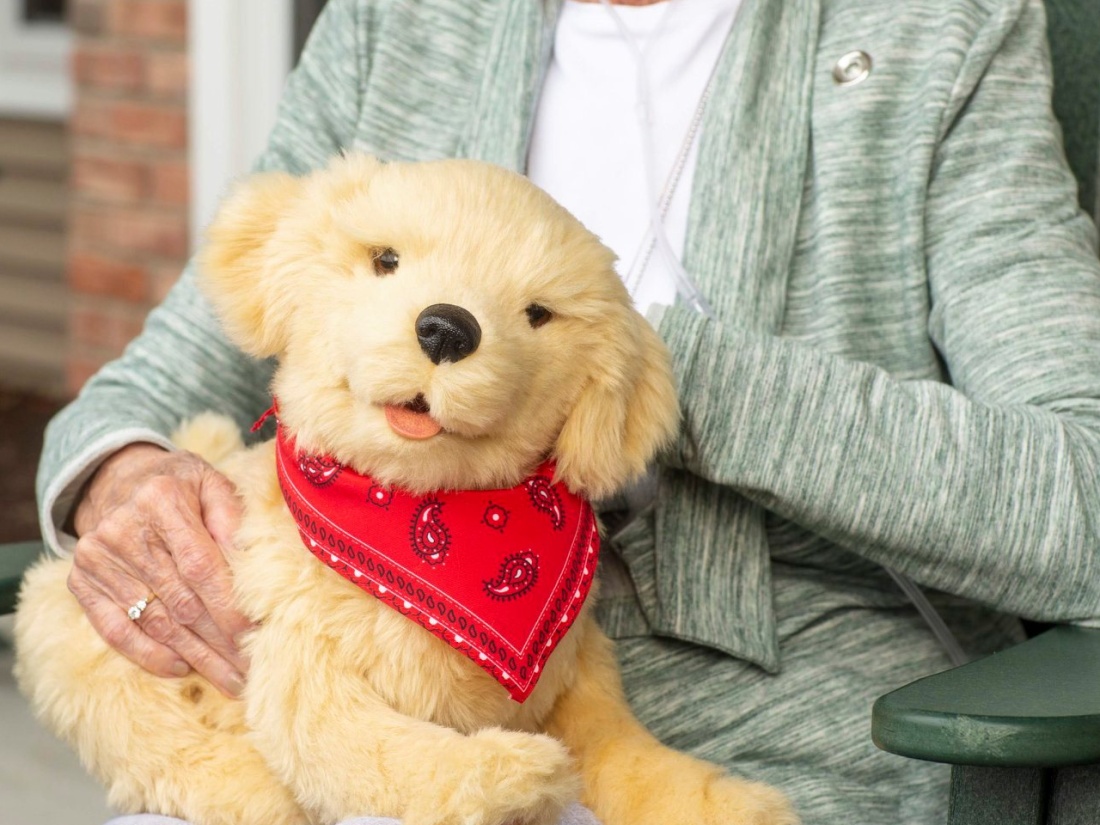 Robotic Pets Provide Comfort to Dementia Patients