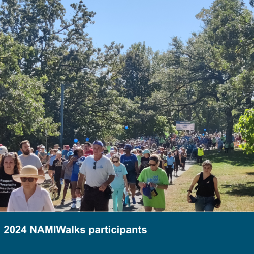 NAMIWalks-Participants